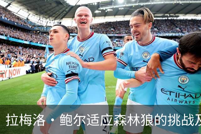 拉梅洛·鲍尔适应森林狼的挑战及战术调整策略